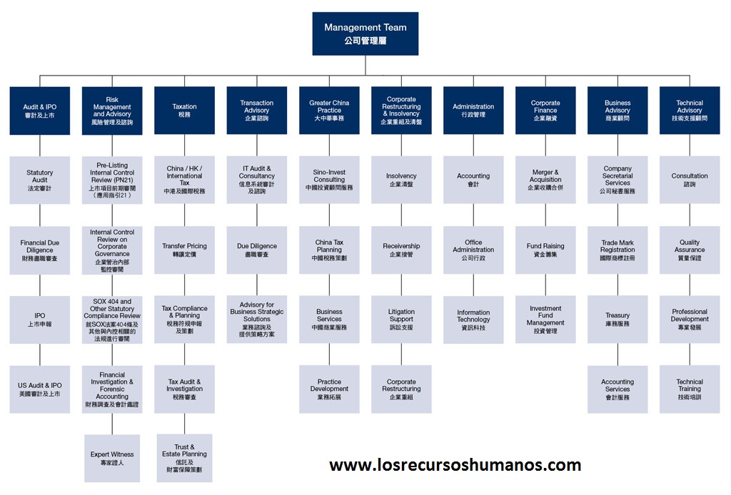 estructura-organizacional