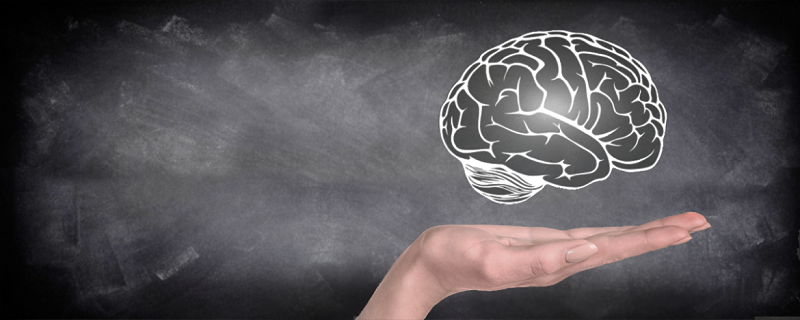 que es la neurociencia
